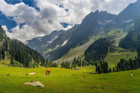 Jewel of Kashmir Package